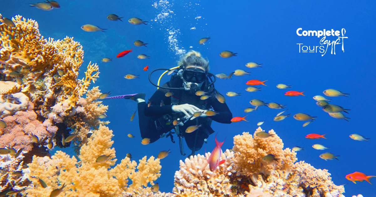 diving hurghada