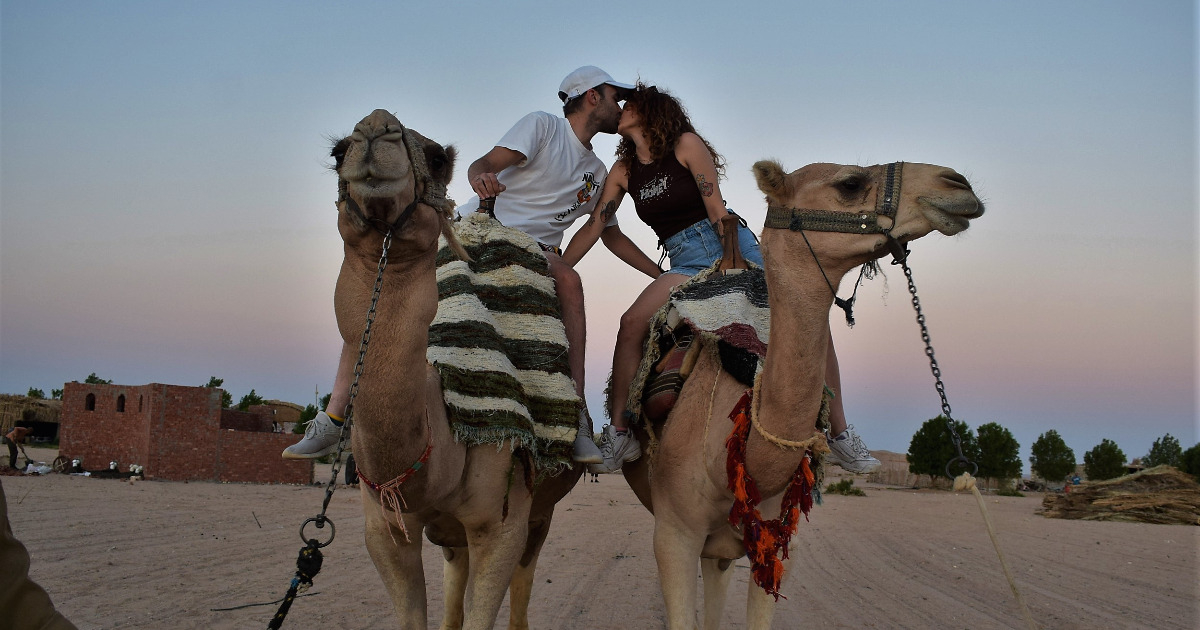 Sur Balade à dos de chameau à Hurghada