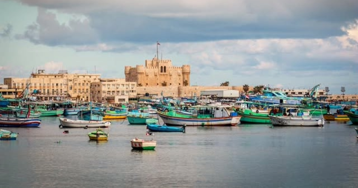 alexandria egypt (3)