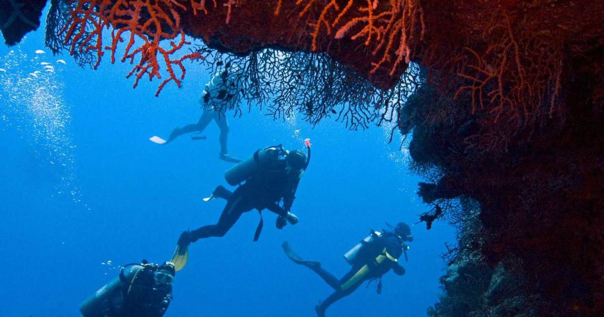 diving-Ras-Mohammed-and-the-White-Island-Sharm-El-Sheikh (7)